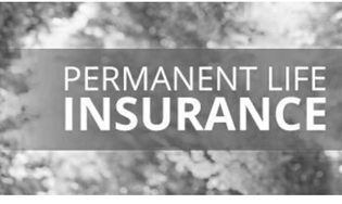 Knights of Columbus Website Design