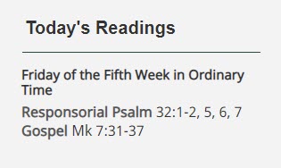 Catholic Website Design Daily Readings